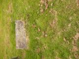 image of grave number 808837